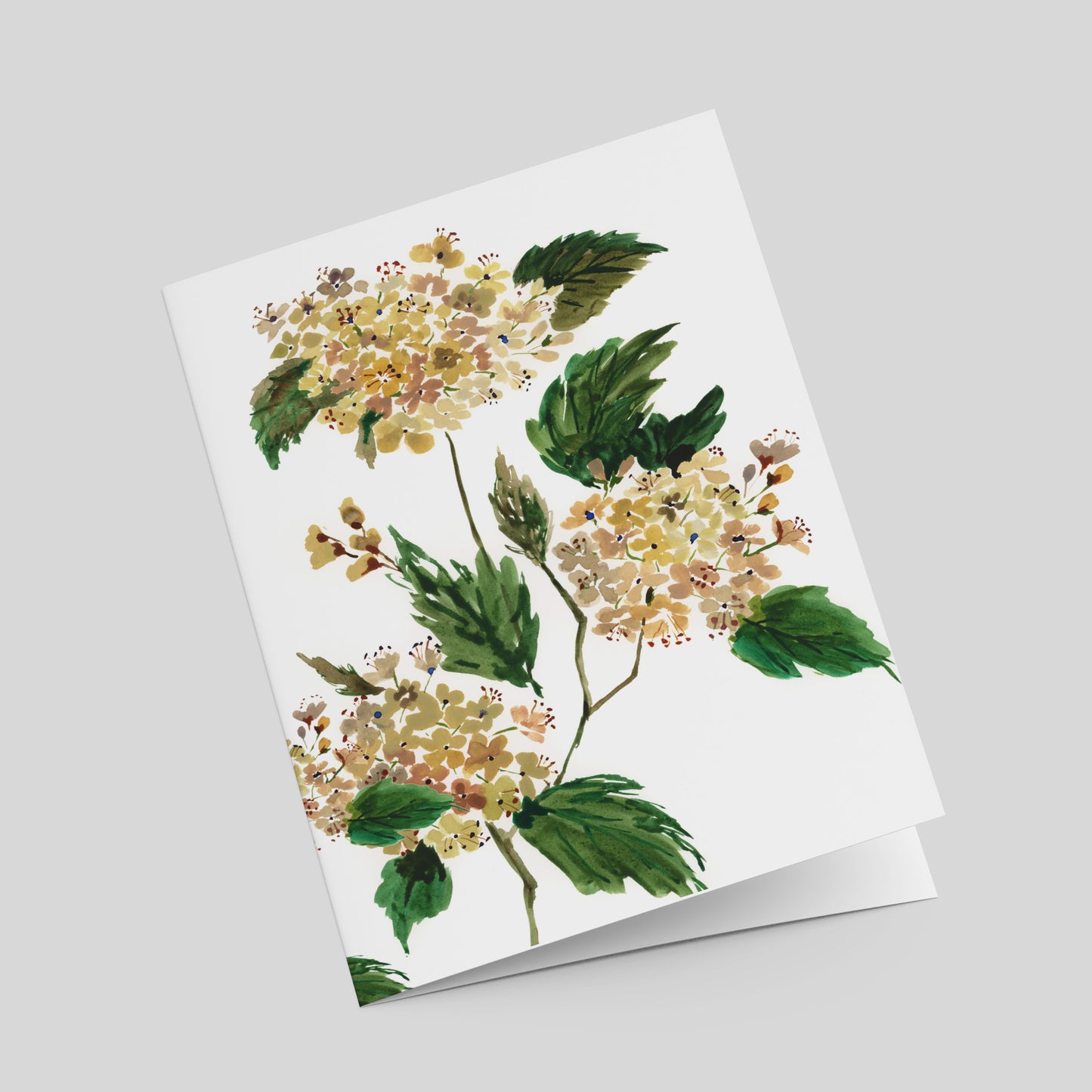 "Hydrangea" Greeting Card